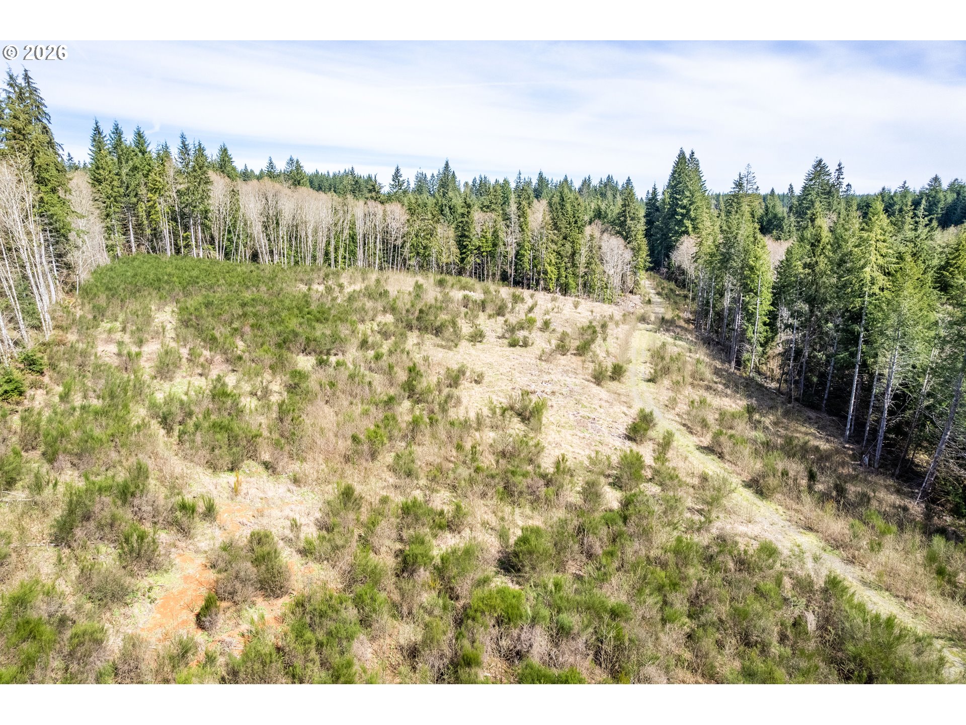 1319 Eufaula Heights Road Longview, WA 98632 - Photo 14 of 23