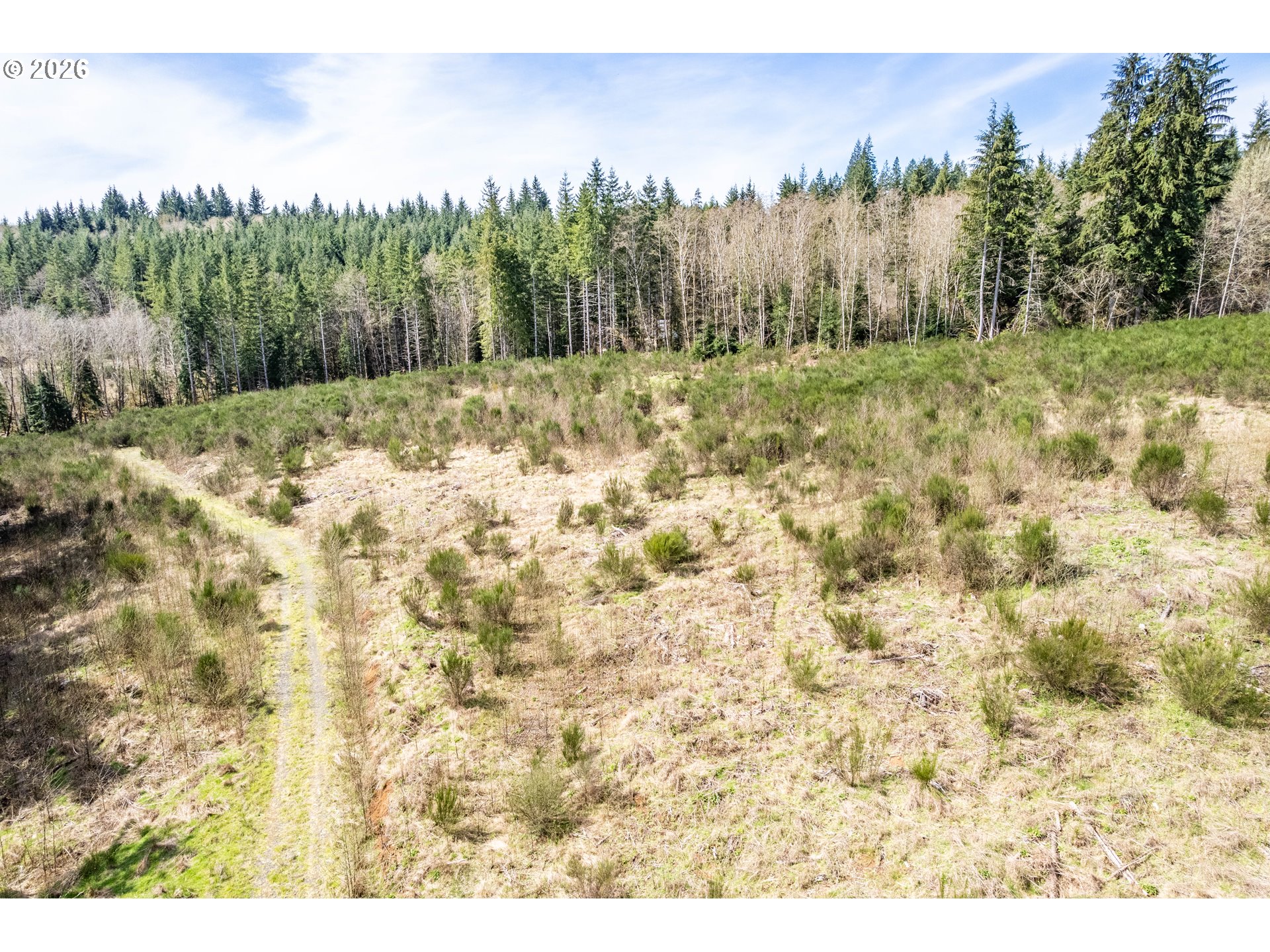 1319 Eufaula Heights Road Longview, WA 98632 - Photo 15 of 23