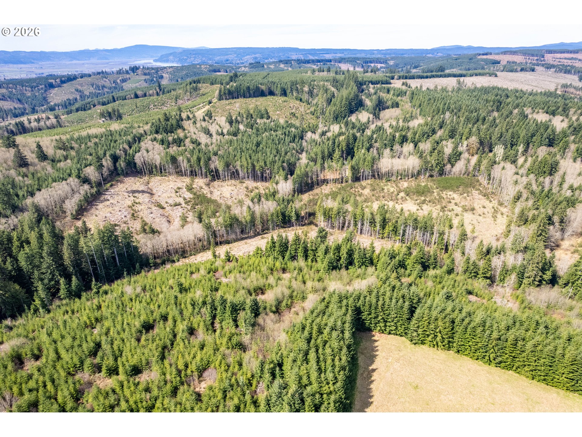 1319 Eufaula Heights Road Longview, WA 98632 - Photo 17 of 23