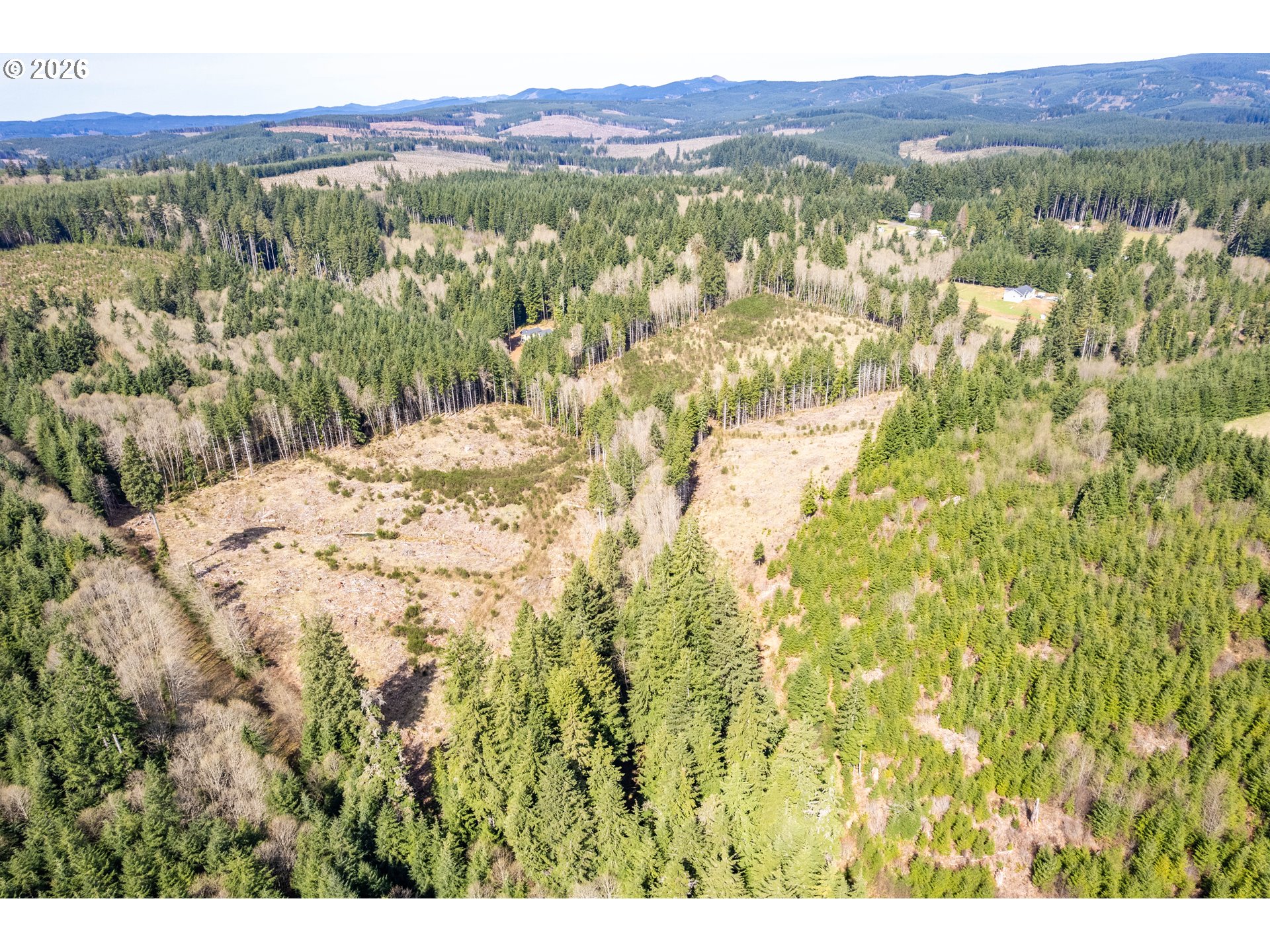 1319 Eufaula Heights Road Longview, WA 98632 - Photo 18 of 23