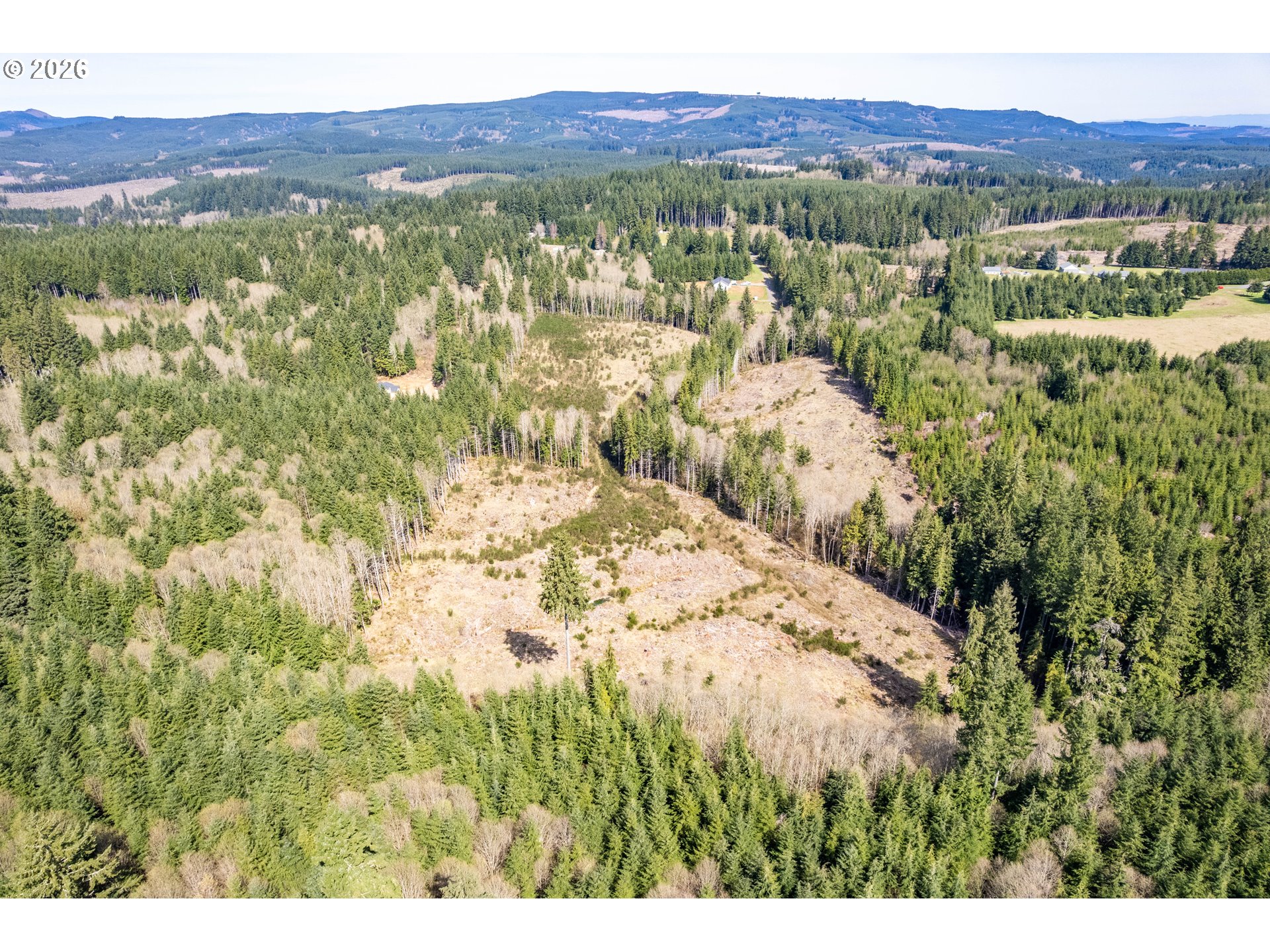 1319 Eufaula Heights Road Longview, WA 98632 - Photo 19 of 23