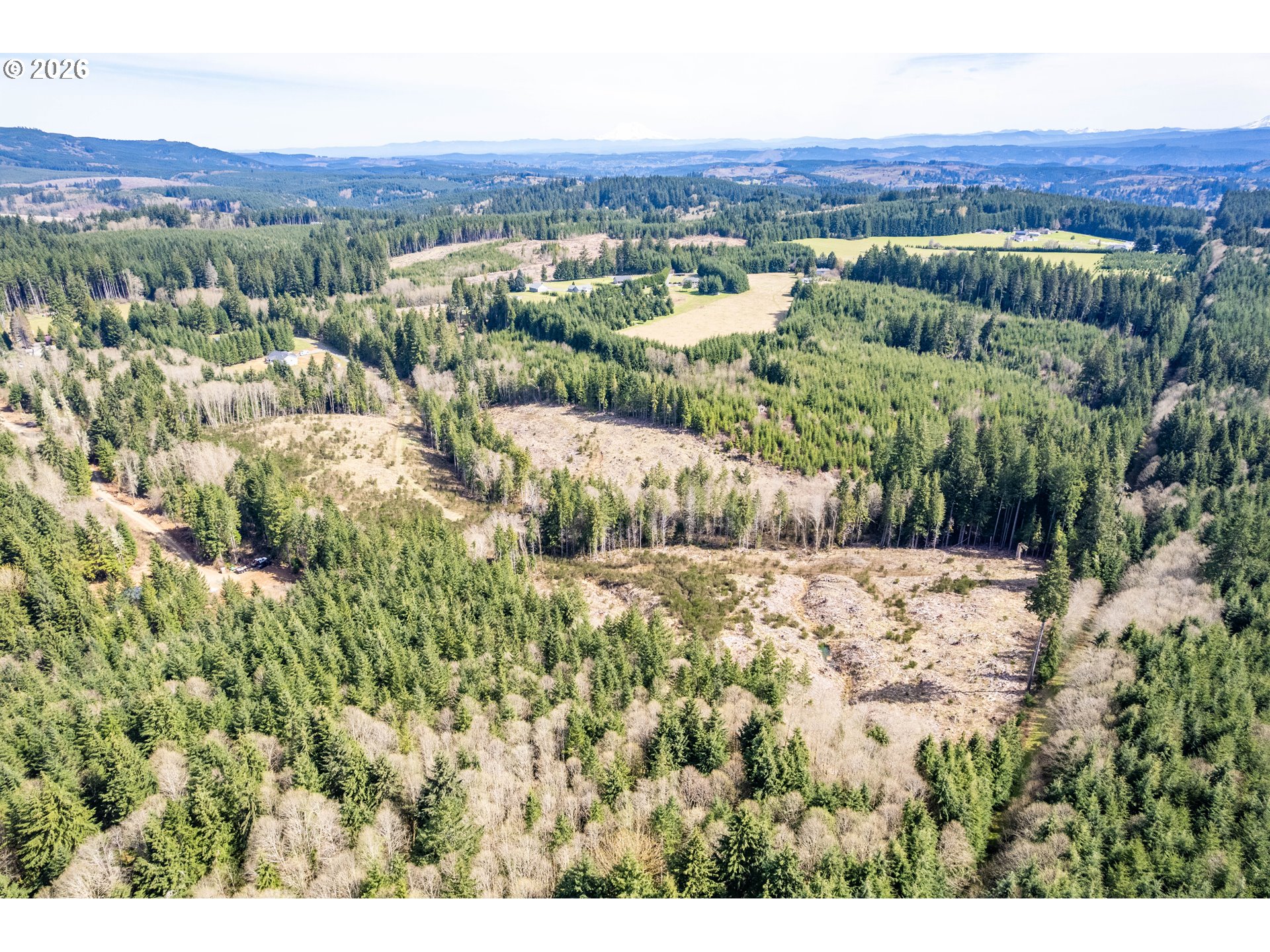 1319 Eufaula Heights Road Longview, WA 98632 - Photo 20 of 23