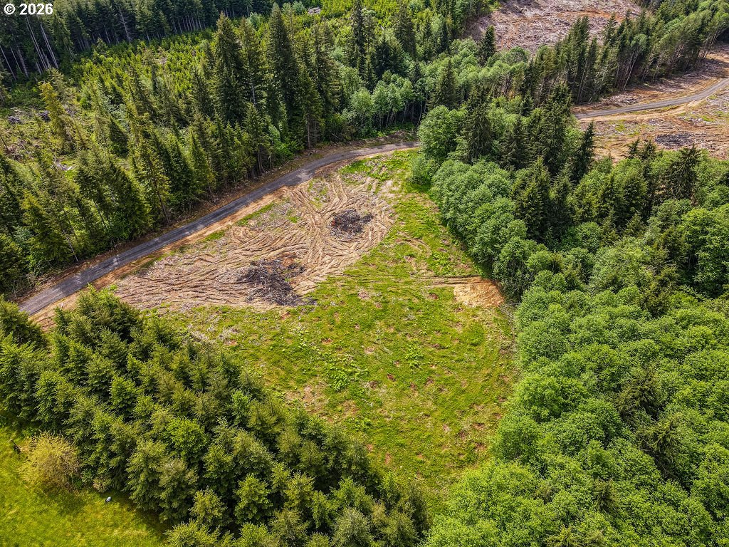 1319 Eufaula Heights Road Longview, WA 98632 - Photo 2 of 23