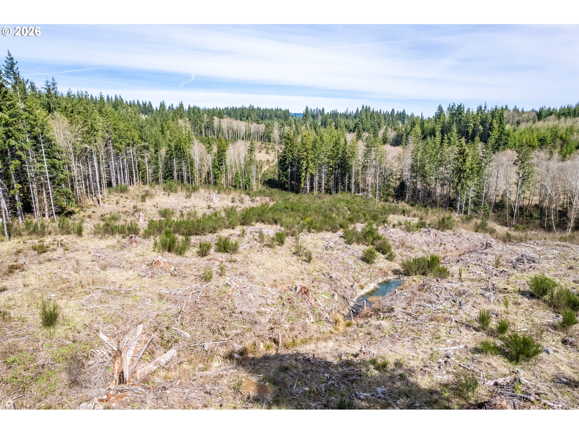 1319 Eufaula Heights Road Longview, WA 98632 - Photo 22 of 23