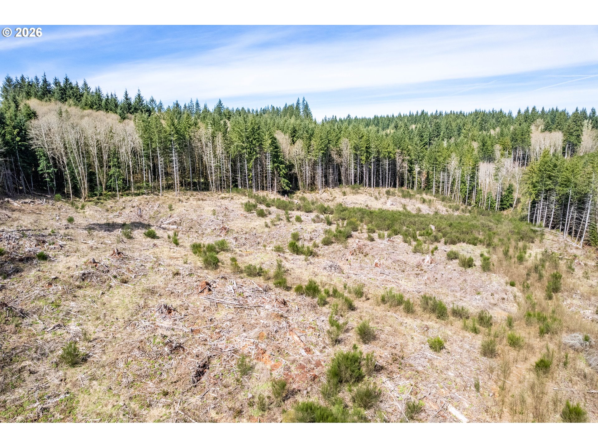 1319 Eufaula Heights Road Longview, WA 98632 - Photo 23 of 23