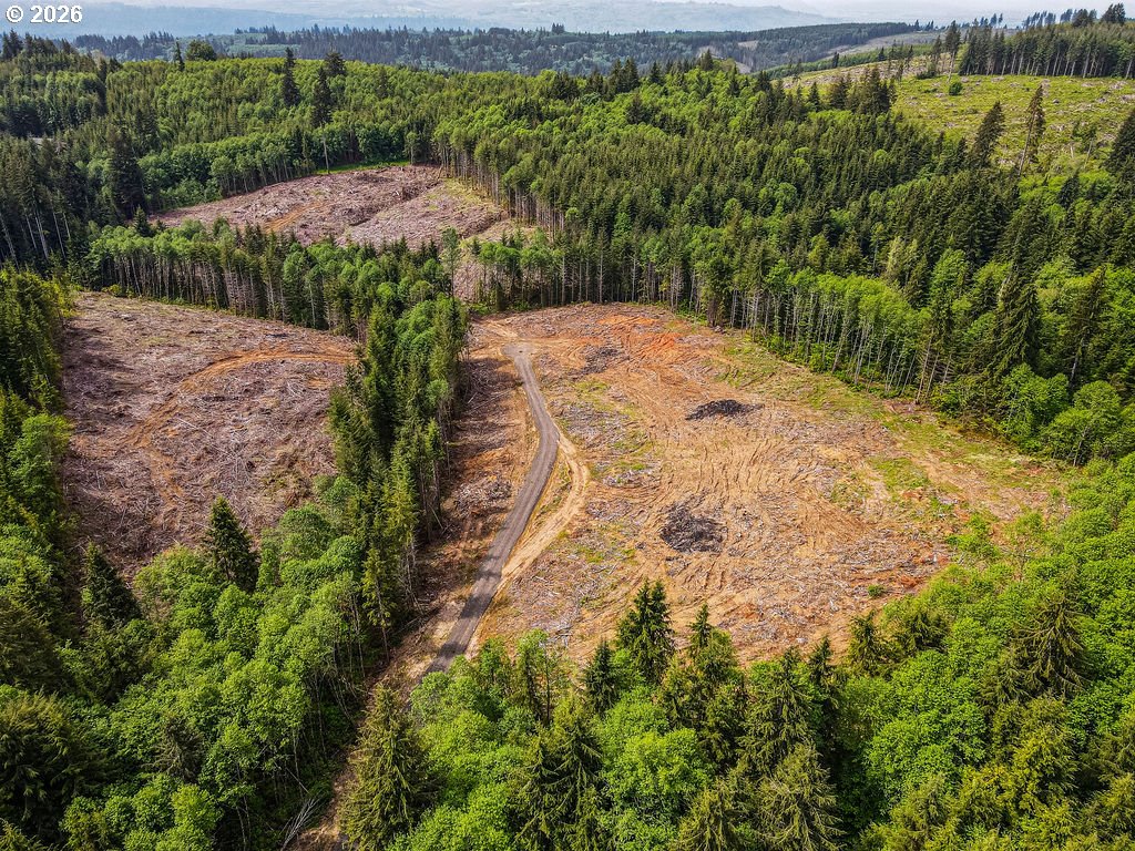 1319 Eufaula Heights Road Longview, WA 98632 - Photo 3 of 23