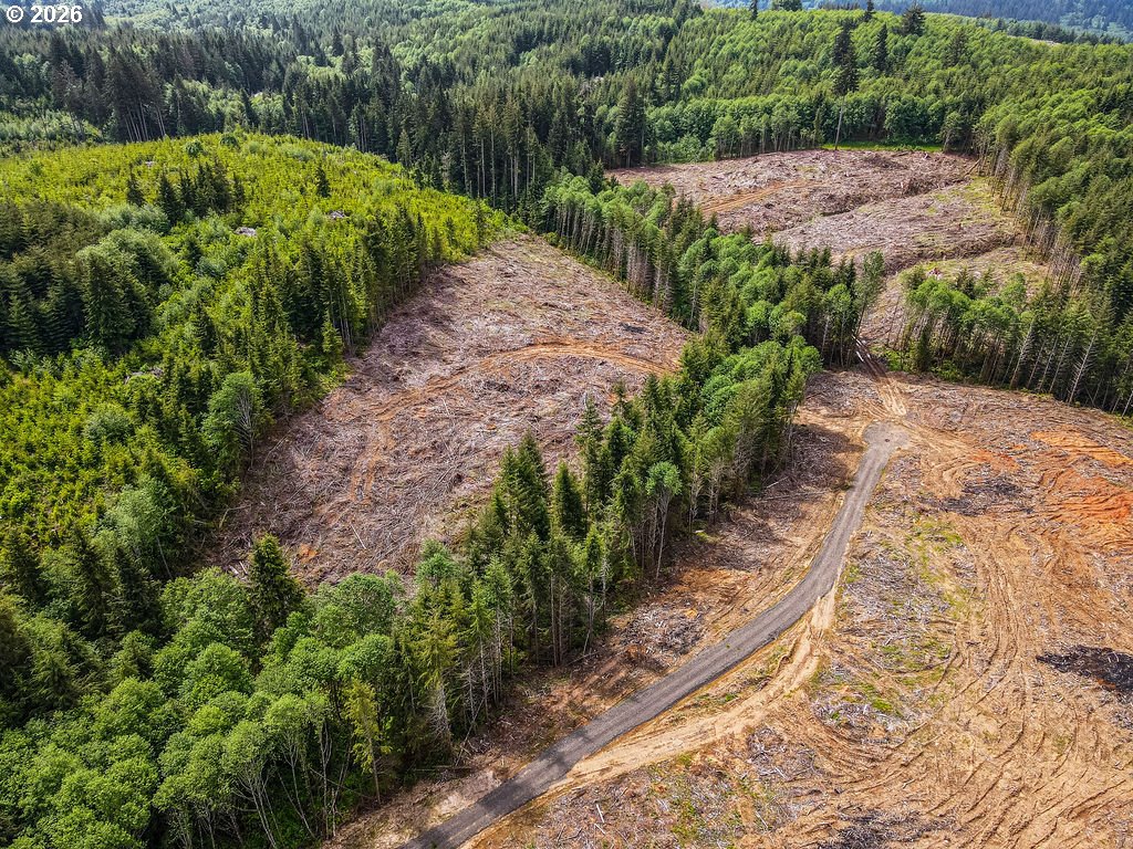 1319 Eufaula Heights Road Longview, WA 98632 - Photo 4 of 23