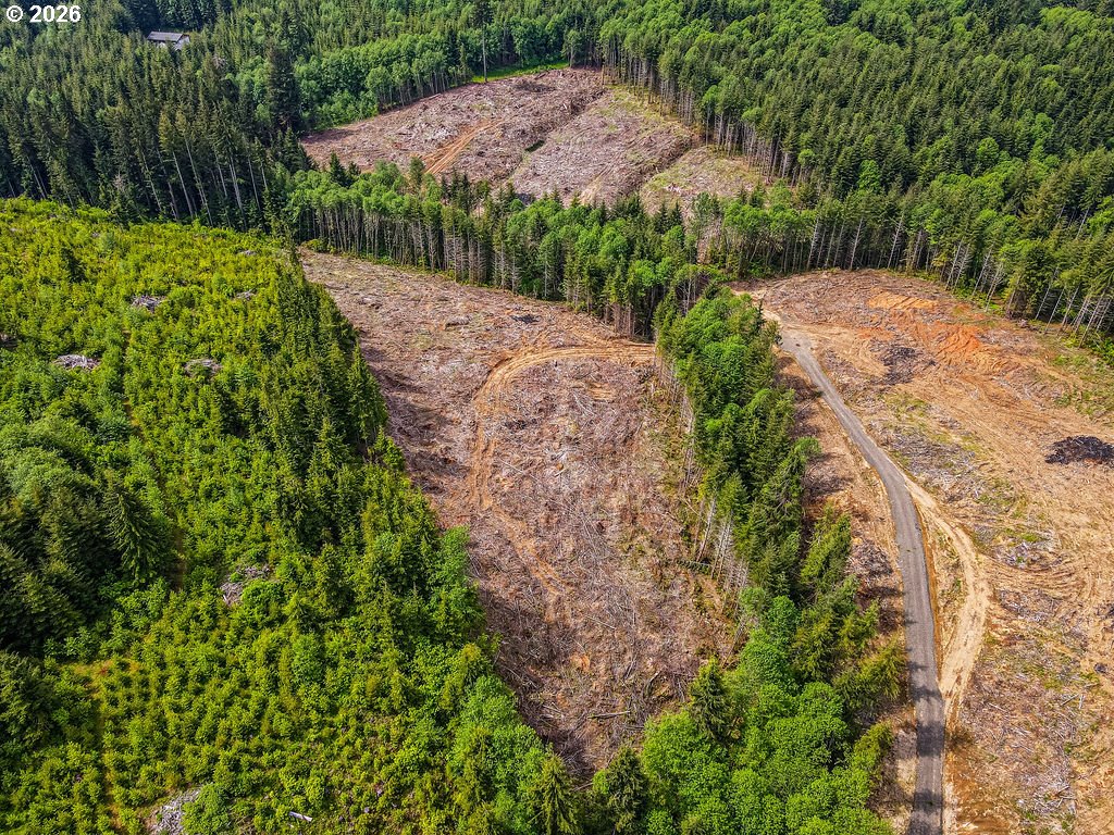 1319 Eufaula Heights Road Longview, WA 98632 - Photo 5 of 23