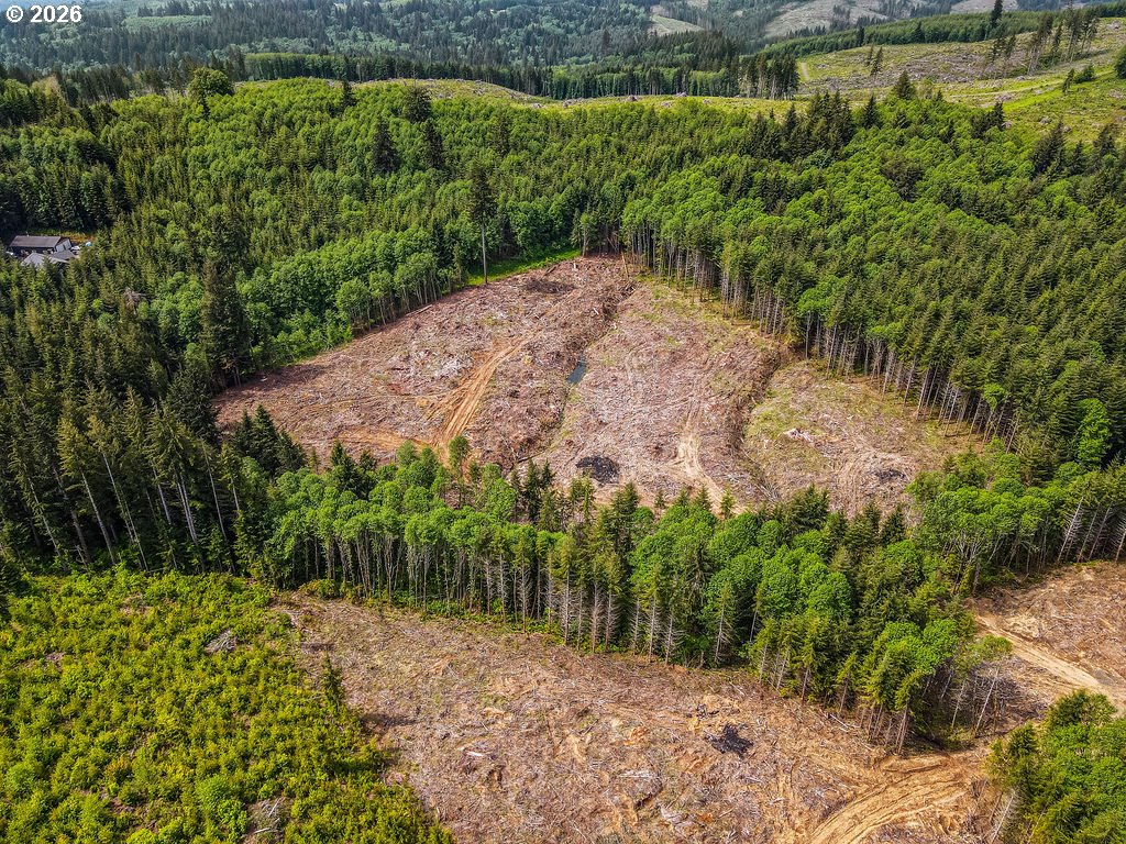 1319 Eufaula Heights Road Longview, WA 98632 - Photo 6 of 23