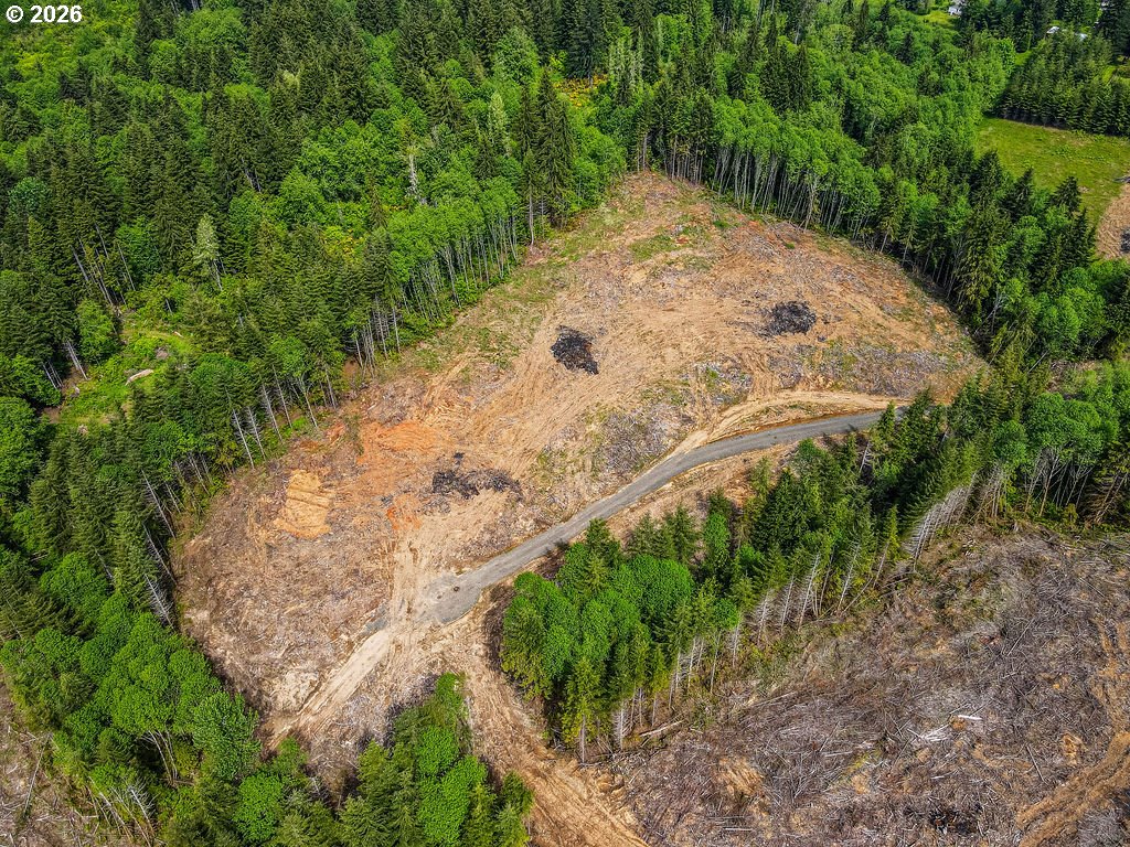 1319 Eufaula Heights Road Longview, WA 98632 - Photo 7 of 23