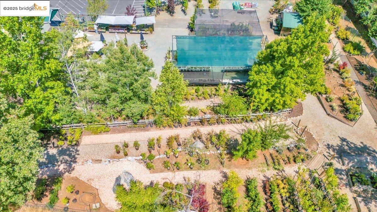 88 Highway 4 Murphys, CA 95247 - Photo 11 of 49 a view of a yard with plants