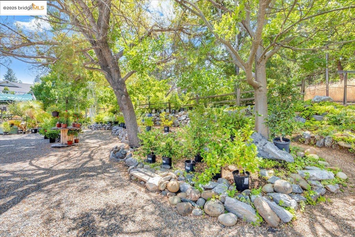 88 Highway 4 Murphys, CA 95247 - Photo 15 of 49 a backyard of a house with lots of green space