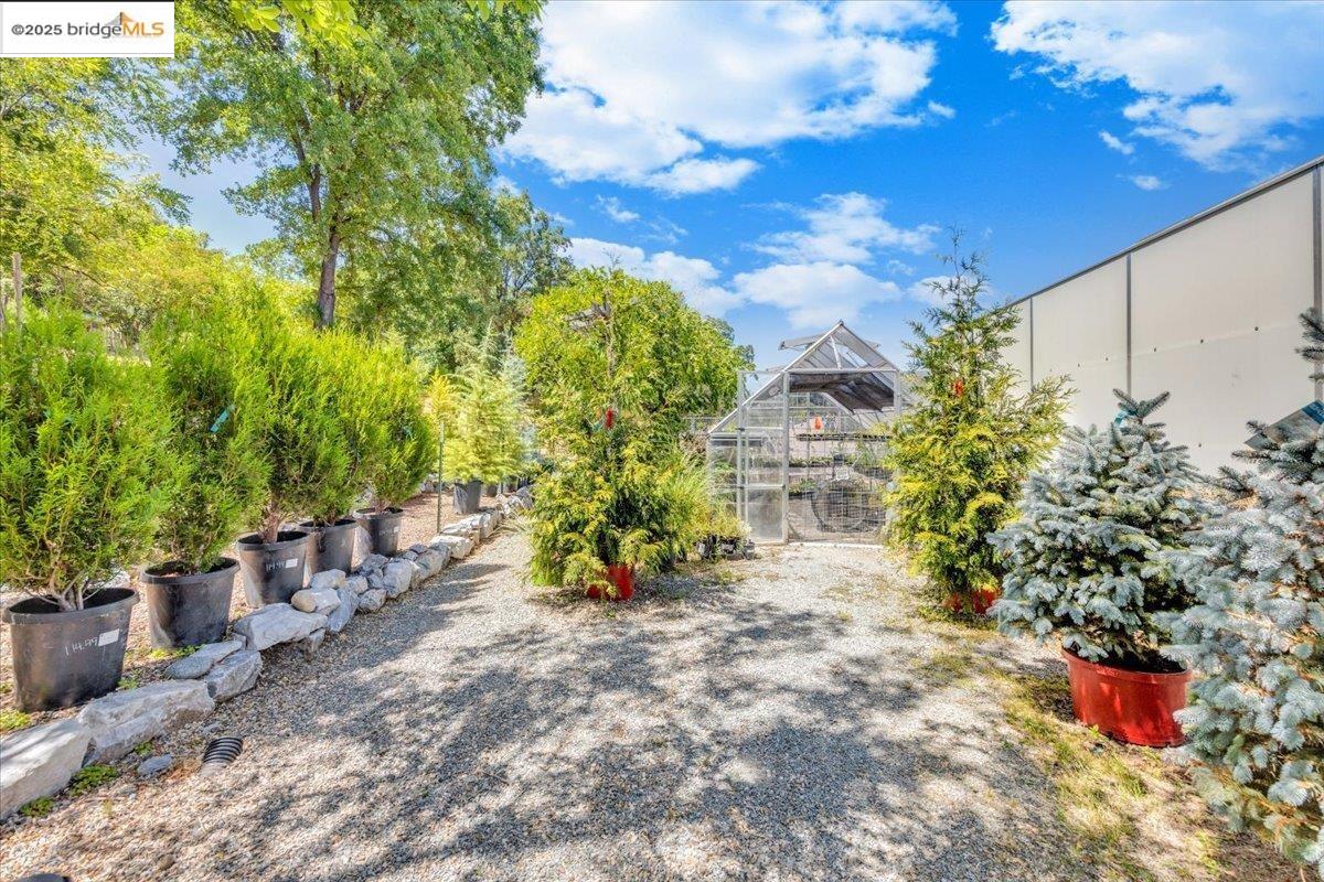 88 Highway 4 Murphys, CA 95247 - Photo 18 of 49 a backyard of a house with lots of green space