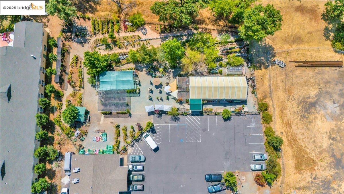 88 Highway 4 Murphys, CA 95247 - Photo 19 of 49 an aerial view of a house with swimming pool and large trees