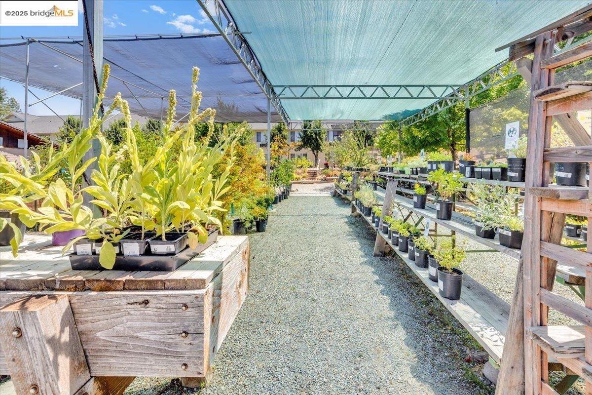 88 Highway 4 Murphys, CA 95247 - Photo 21 of 49 a view of a chairs and table in a patio