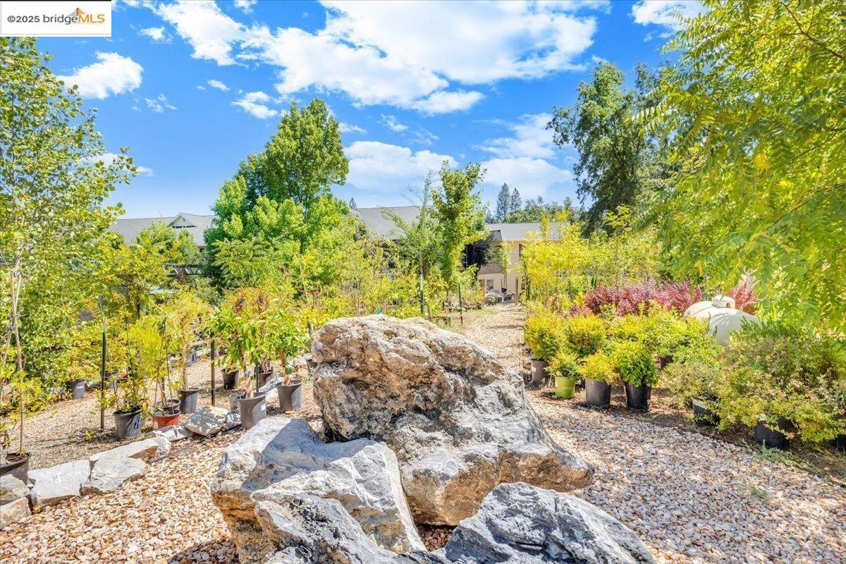 88 Highway 4 Murphys, CA 95247 - Photo 26 of 49 a view of a yard