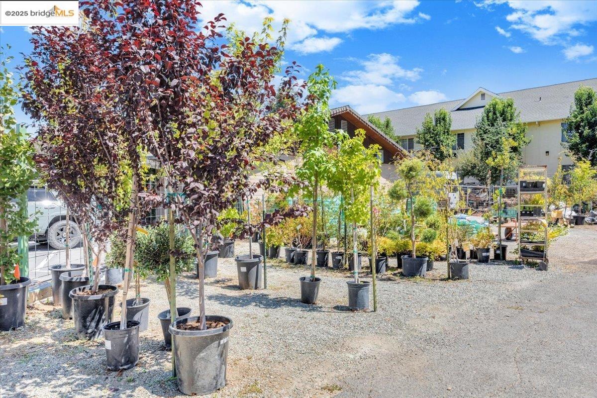 88 Highway 4 Murphys, CA 95247 - Photo 28 of 49 a view of outdoor space with seating area
