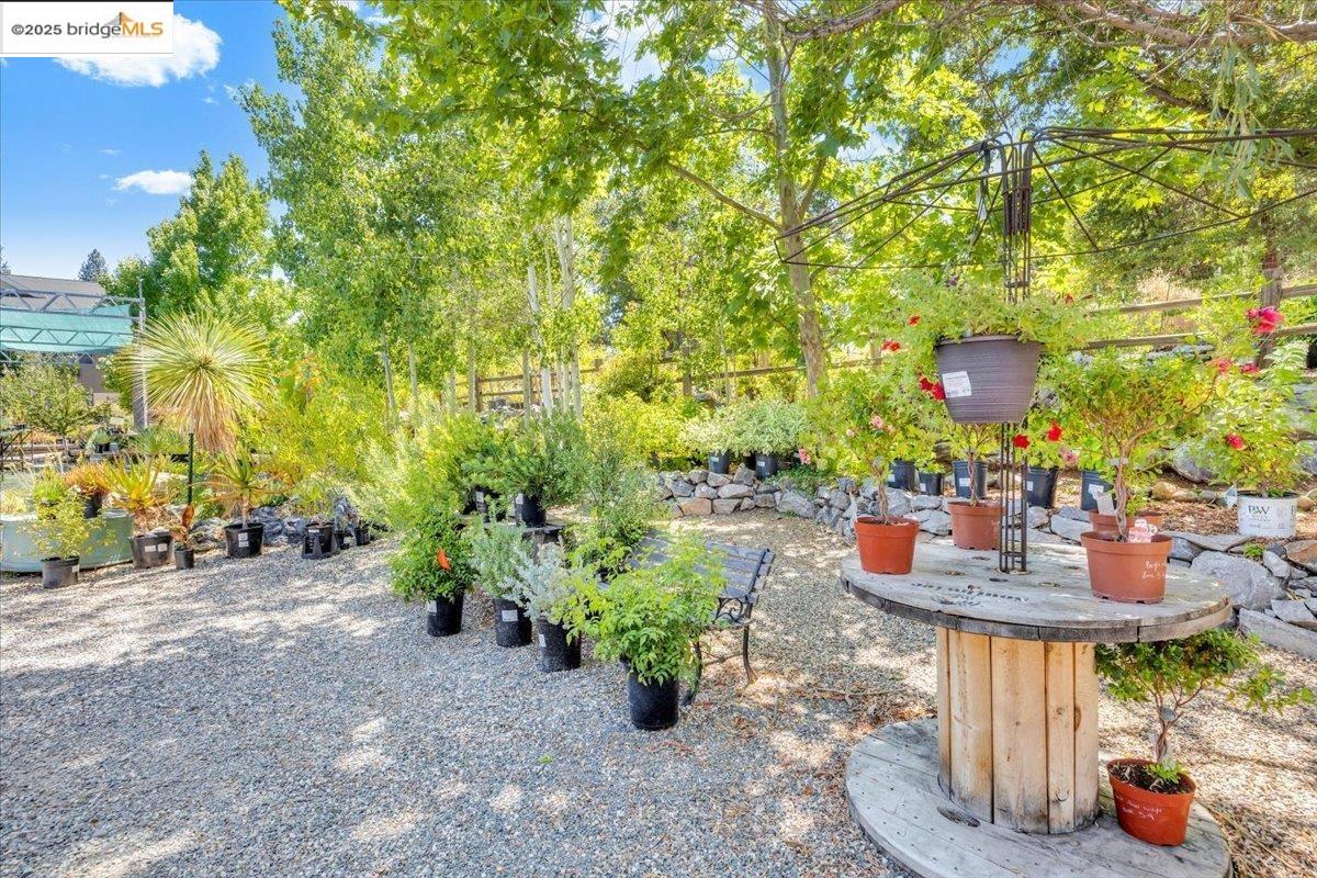88 Highway 4 Murphys, CA 95247 - Photo 30 of 49 a view of a chairs and table in a backyard