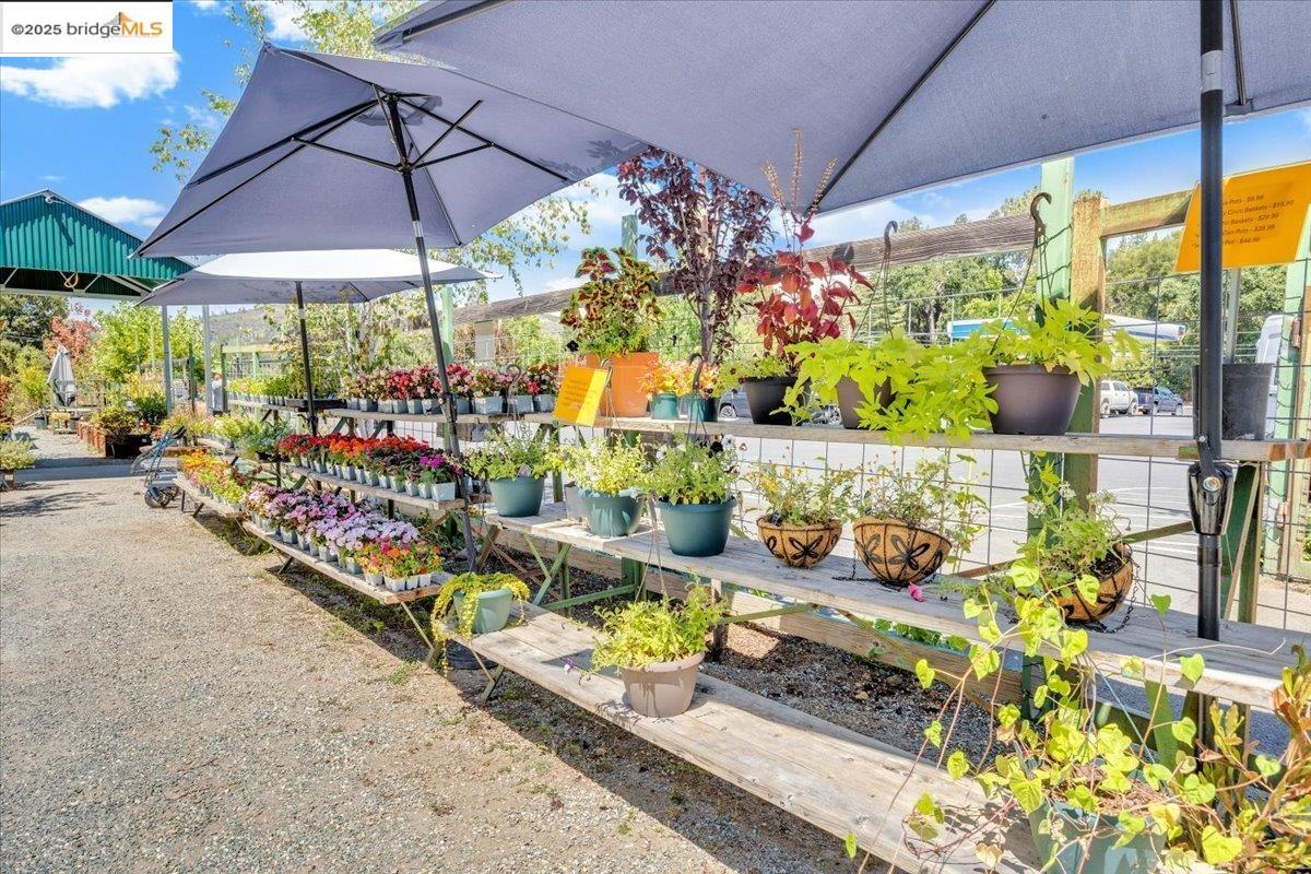 88 Highway 4 Murphys, CA 95247 - Photo 32 of 49 a view of a chairs and tables in patio
