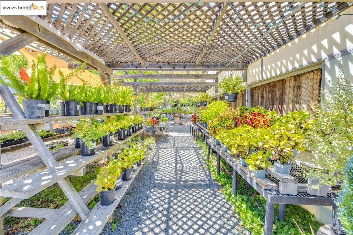 88 Highway 4 Murphys, CA 95247 - Photo 33 of 49 a view of a chairs and table in patio