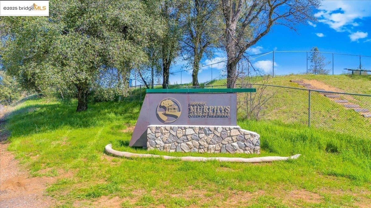 88 Highway 4 Murphys, CA 95247 - Photo 38 of 49 a view of outdoor space with a garden and trees