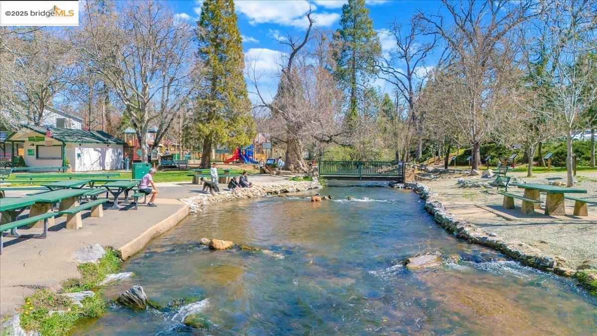 88 Highway 4 Murphys, CA 95247 - Photo 44 of 49 a view of a yard with cars