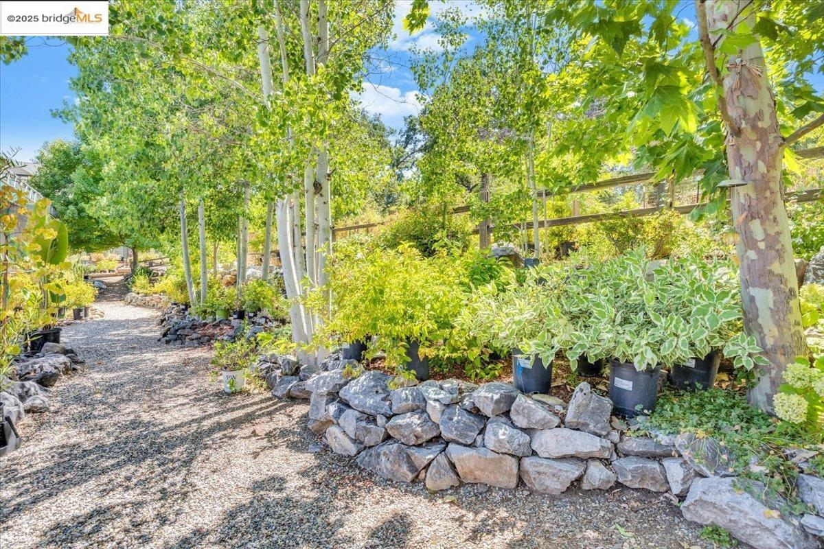 88 Highway 4 Murphys, CA 95247 - Photo 10 of 49 a view of a garden with plants and a fountain