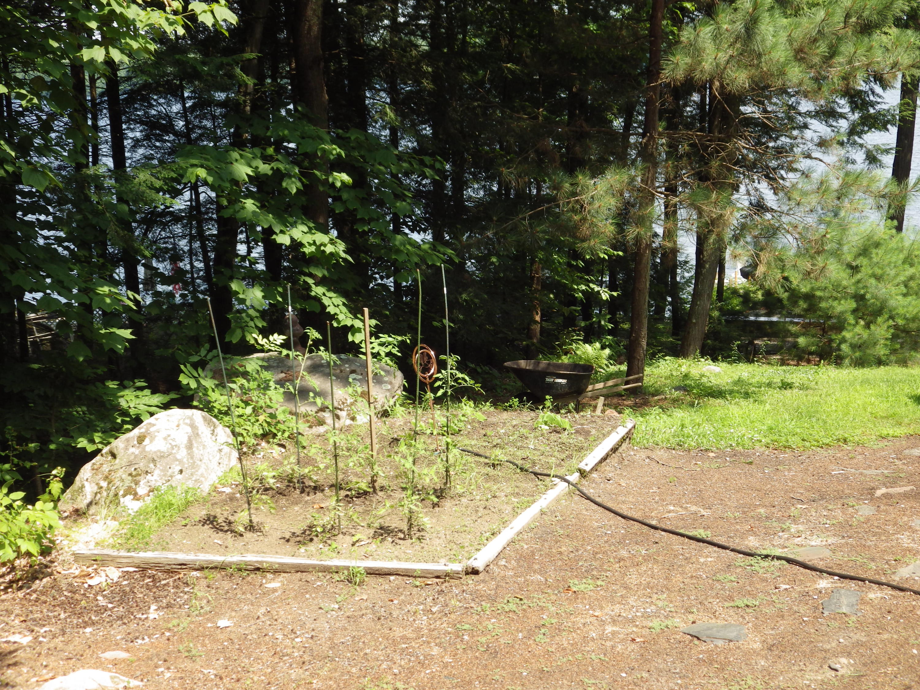 149 Mountain Drive Rome, ME 04963 - Photo 8 of 43 IMGP7580