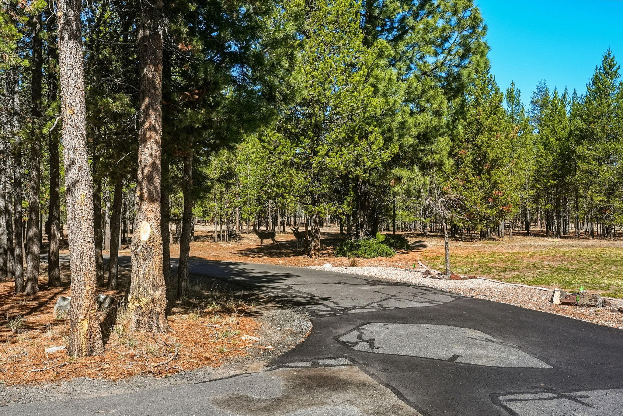52220 Dorrance Meadow Road La Pine, OR 97739 - Photo 9 of 56 Circular asphalt driveway