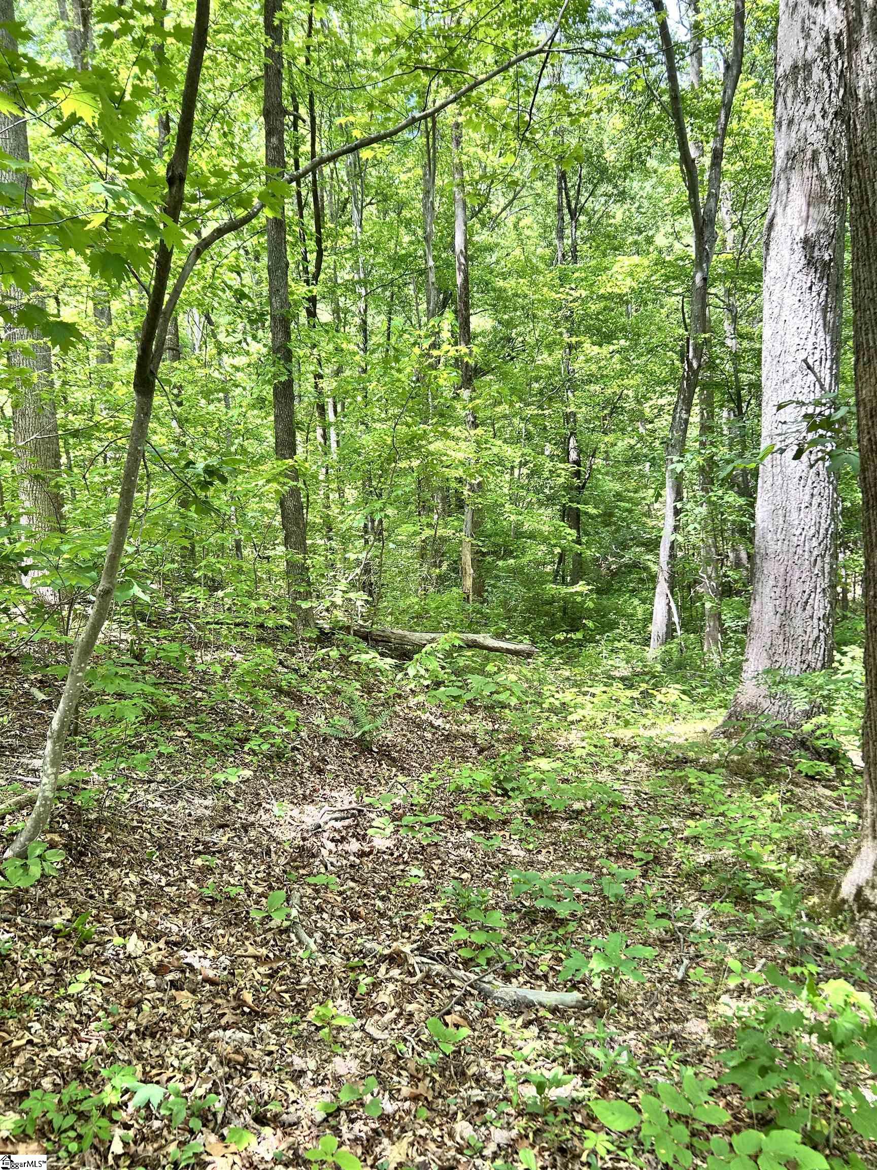 0 Needle Cragg Road Landrum, SC 29356 - Photo 3 of 14