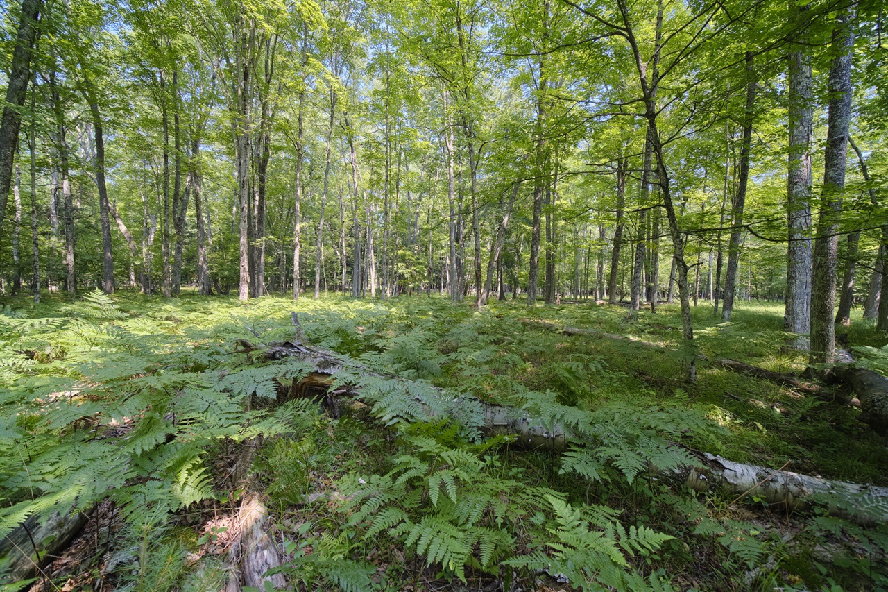 9670 South County Line Road Manistee, MI 49660 - Photo 90 of 97
