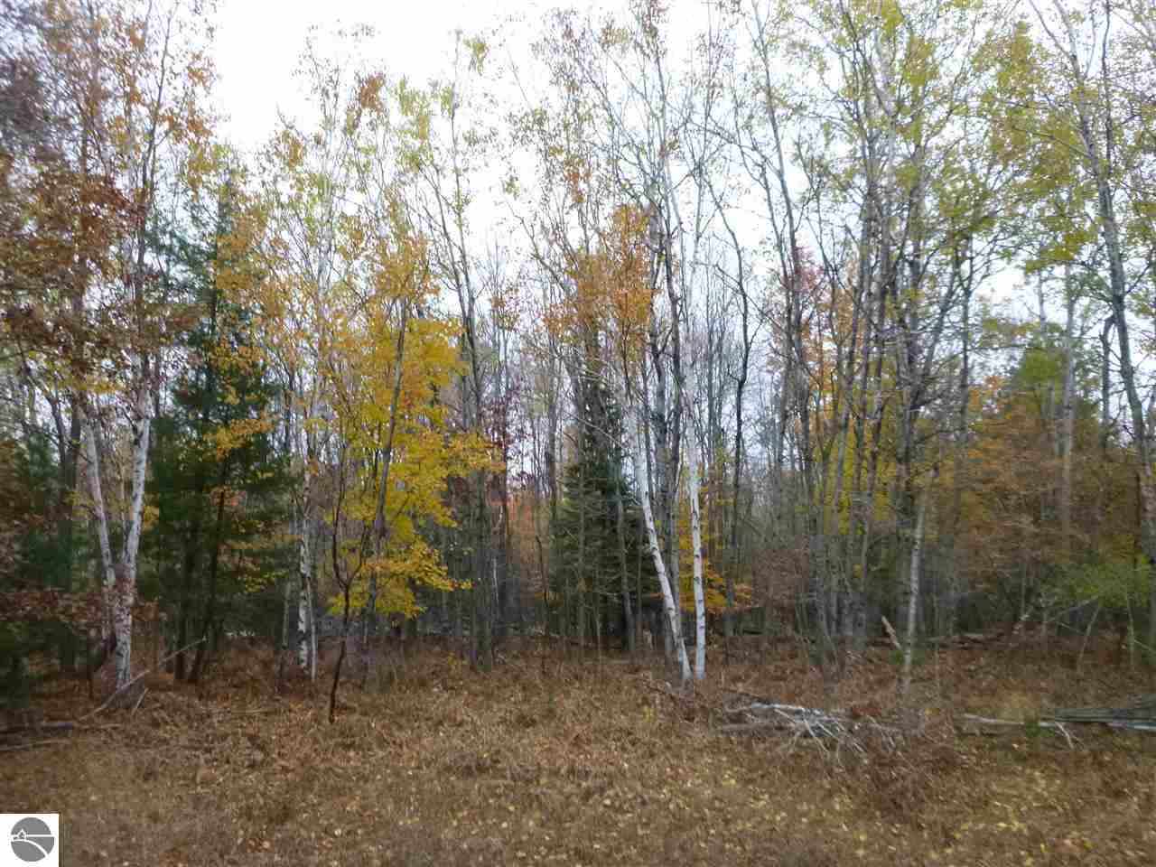 2234 East Duck Lake Road Grawn, MI 49637 - Photo 13 of 28 1777950-12.JPG