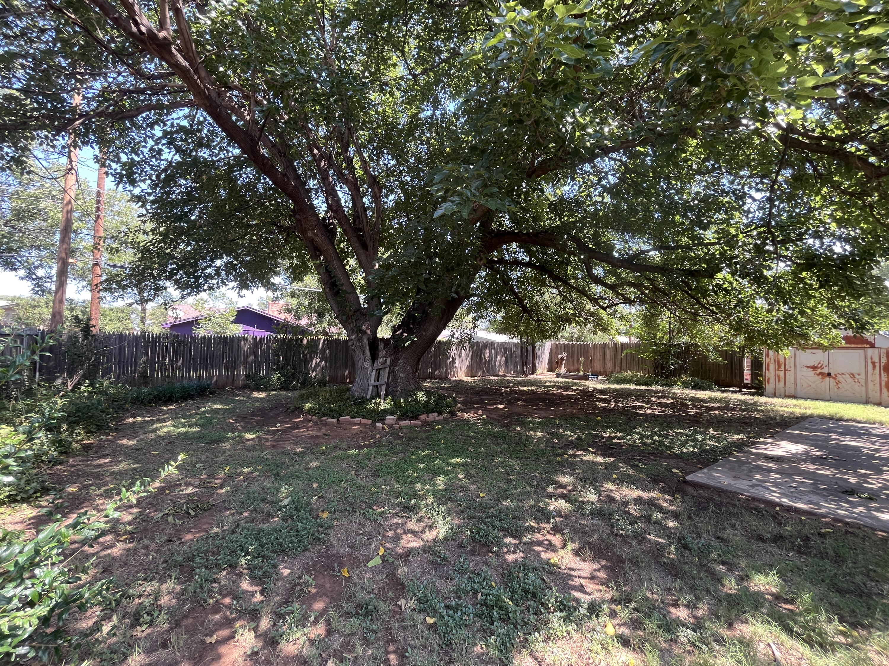 3614 56th Street Lubbock, TX 79413 - Photo 28 of 30 a view of a tree in the middle of a yard