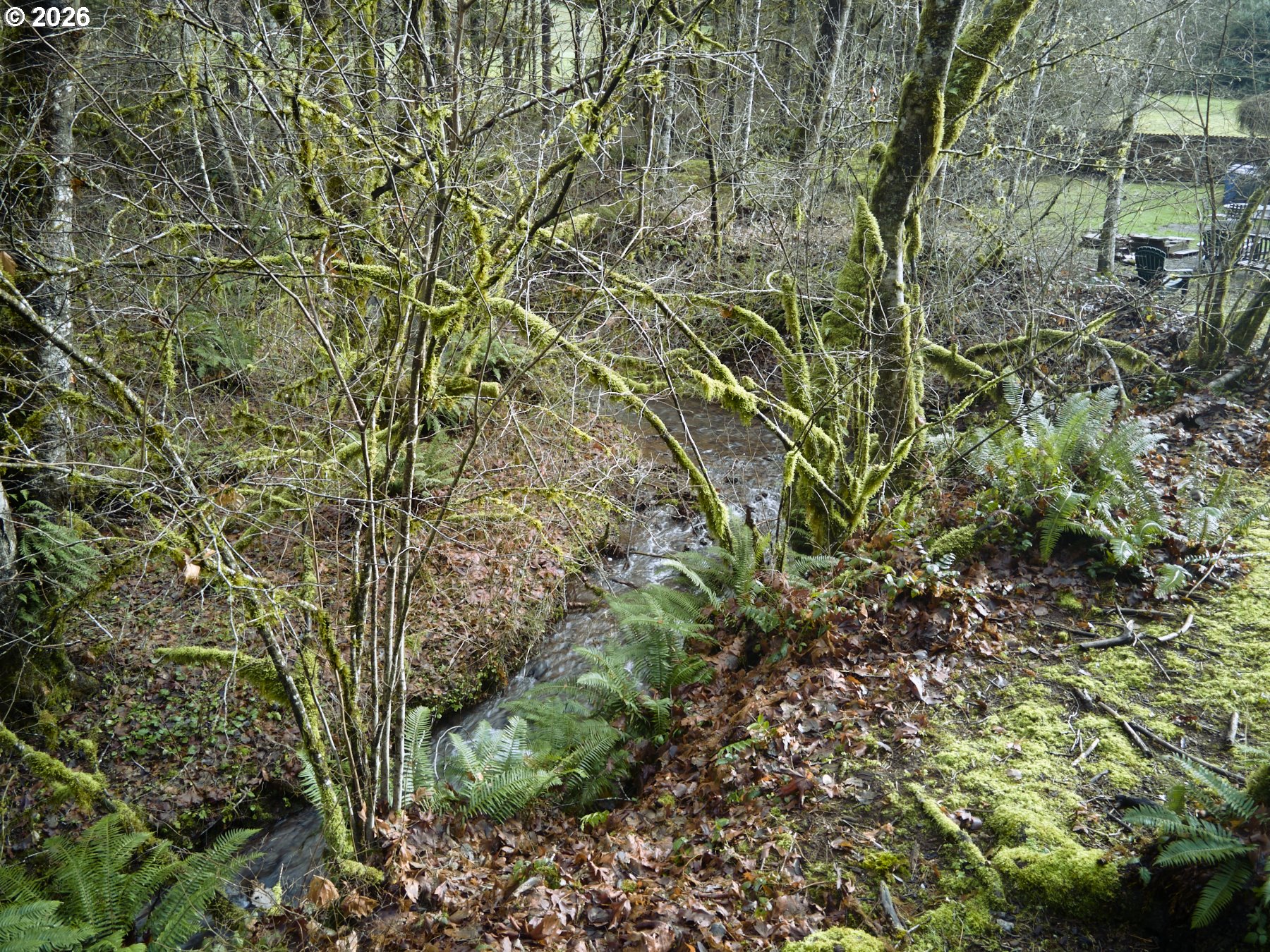 23708 Northeast Canyon Loop Road Battle Ground, WA 98604 - Photo 25 of 29 Creek