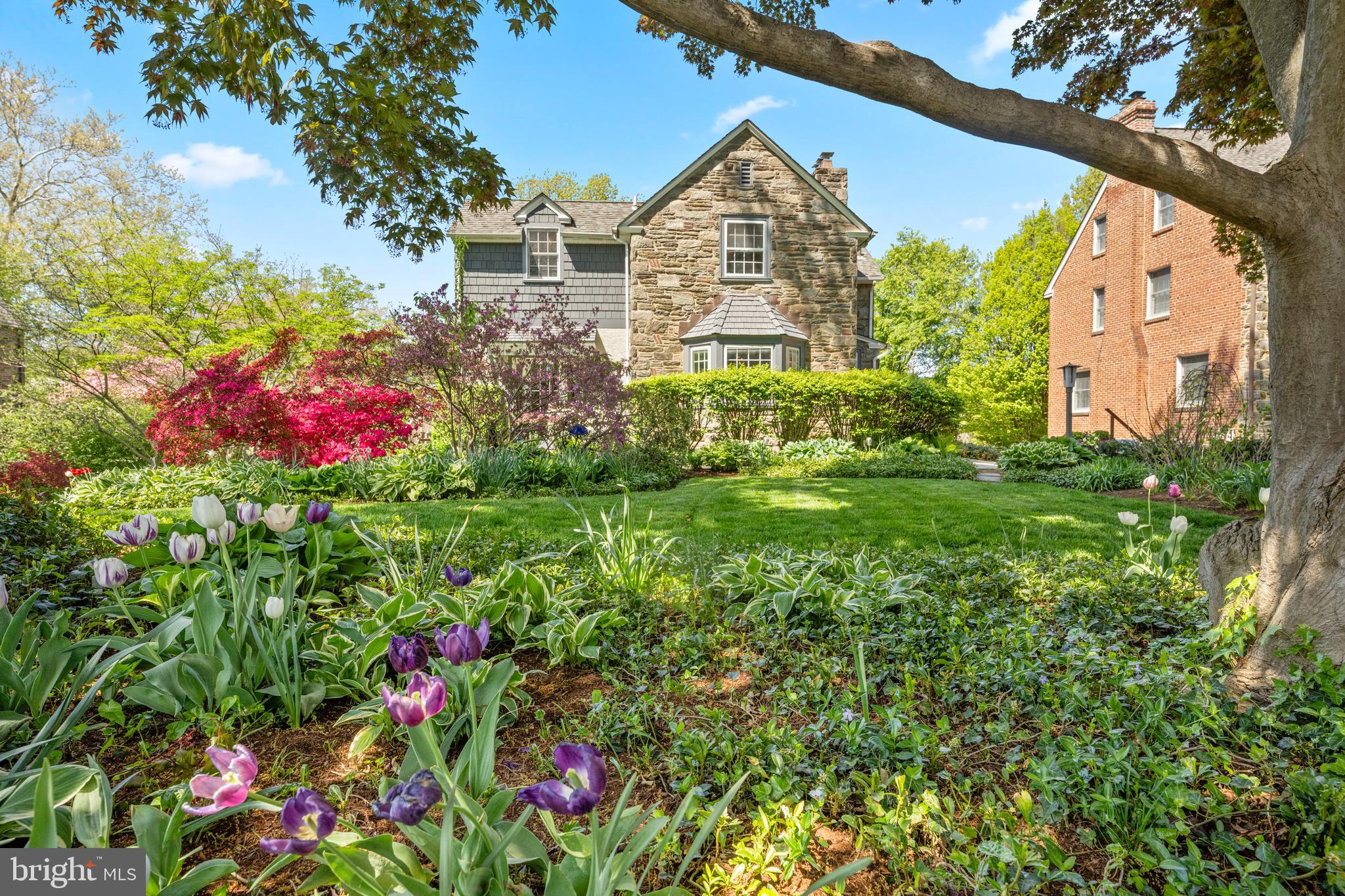 19 Derwen Road Bala Cynwyd, PA 19004 - Photo 39 of 44 Amazing plantings!