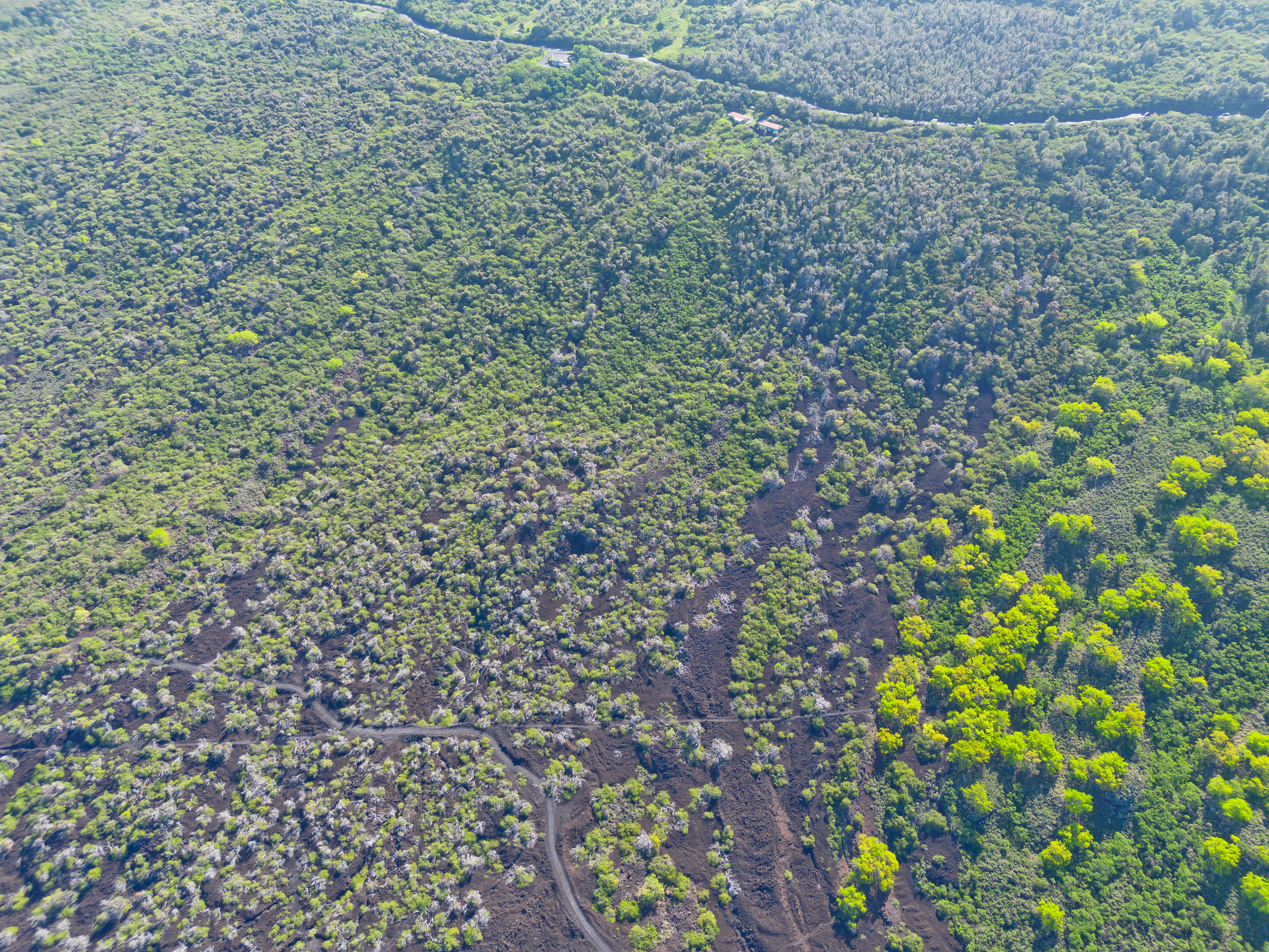 86-3845 Old Government Road Captain Cook, HI 96704 - Photo 14 of 29