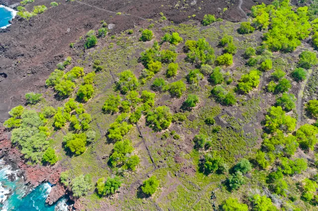 $5,495,000 | 86-3845 Old Government Road, Captain Cook, HI 96704