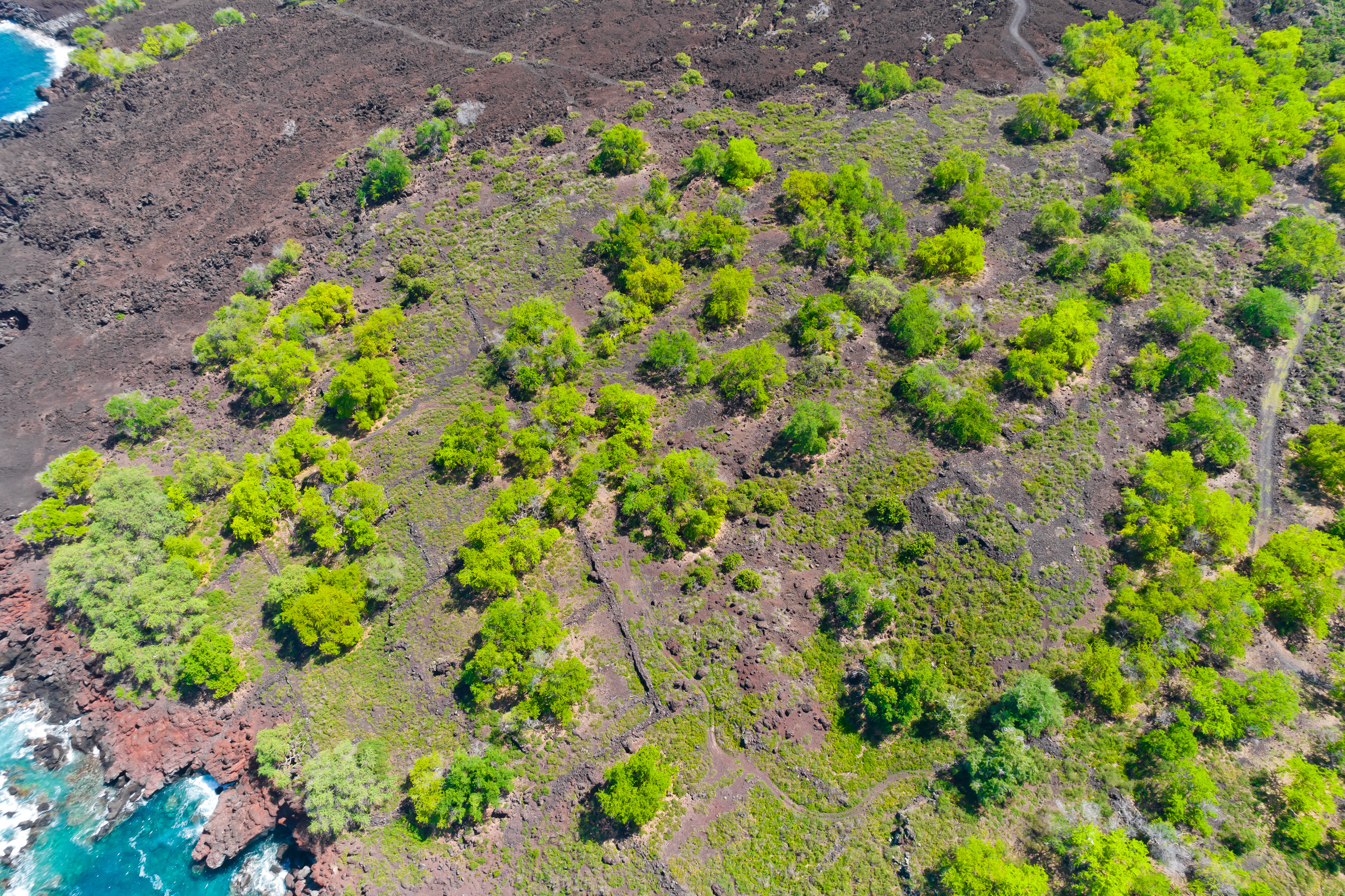 86-3845 Old Government Road Captain Cook, HI 96704 - Photo 15 of 29