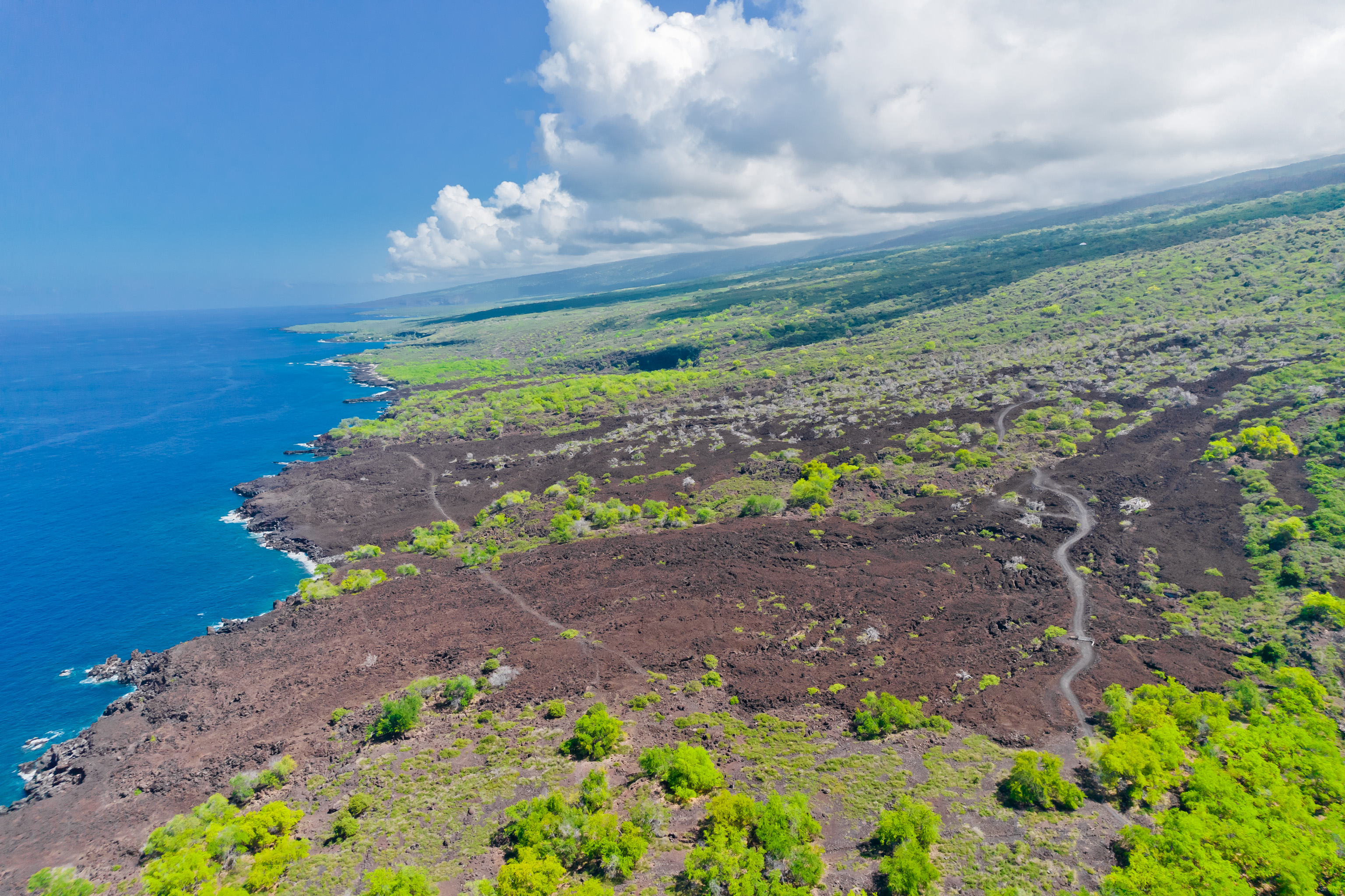 86-3845 Old Government Road Captain Cook, HI 96704 - Photo 2 of 29