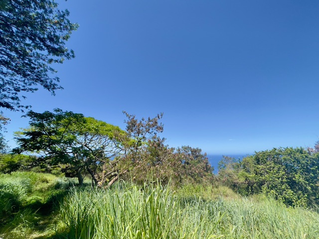 86-3845 Old Government Road Captain Cook, HI 96704 - Photo 24 of 29