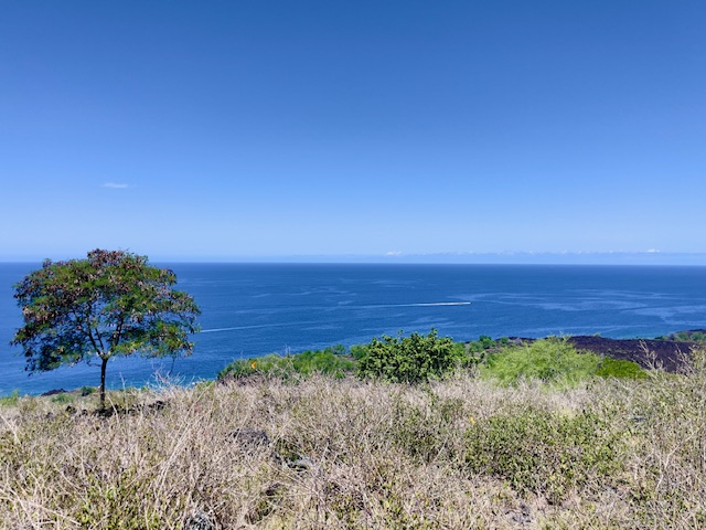 86-3845 Old Government Road Captain Cook, HI 96704 - Photo 25 of 29