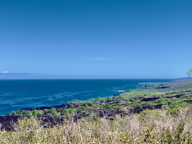 86-3845 Old Government Road Captain Cook, HI 96704 - Photo 26 of 29