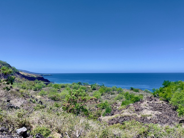 86-3845 Old Government Road Captain Cook, HI 96704 - Photo 27 of 29