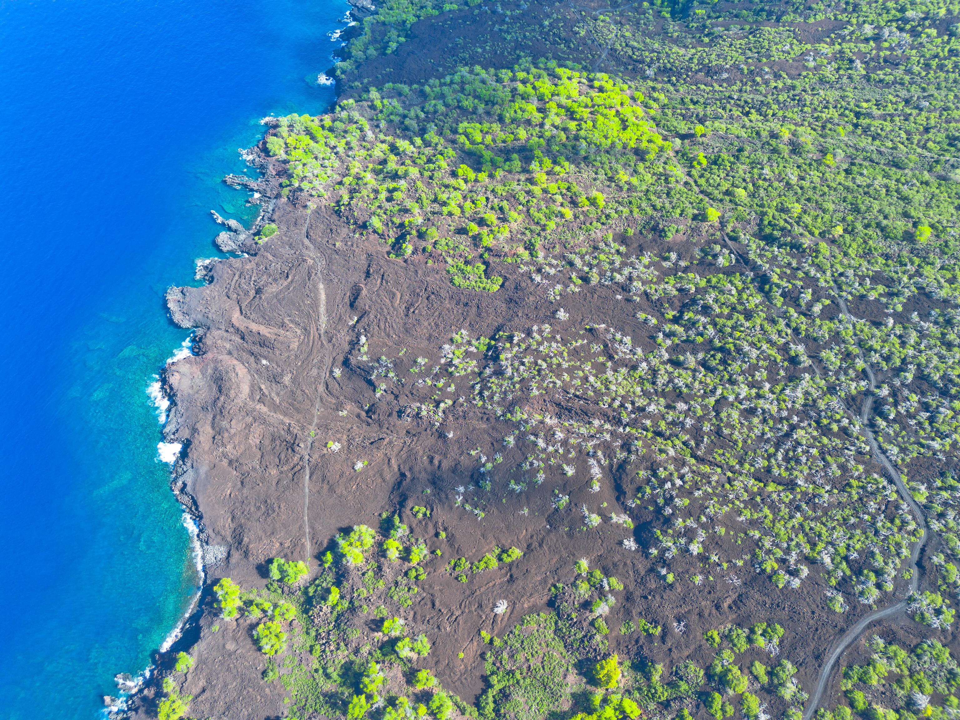 86-3845 Old Government Road Captain Cook, HI 96704 - Photo 28 of 29