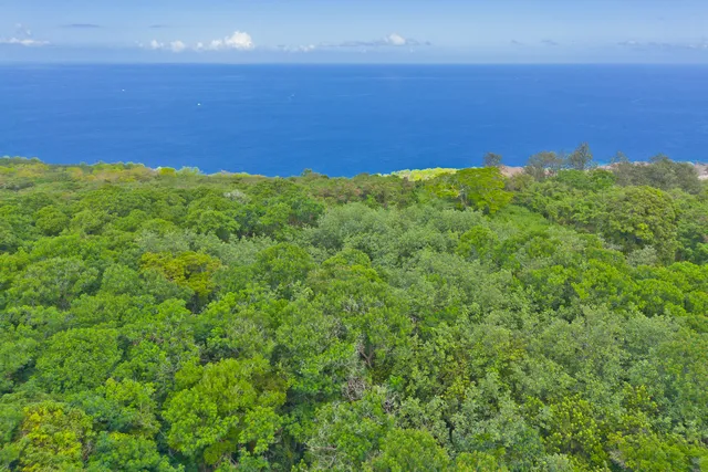 $5,495,000 | 86-3845 Old Government Road, Captain Cook, HI 96704