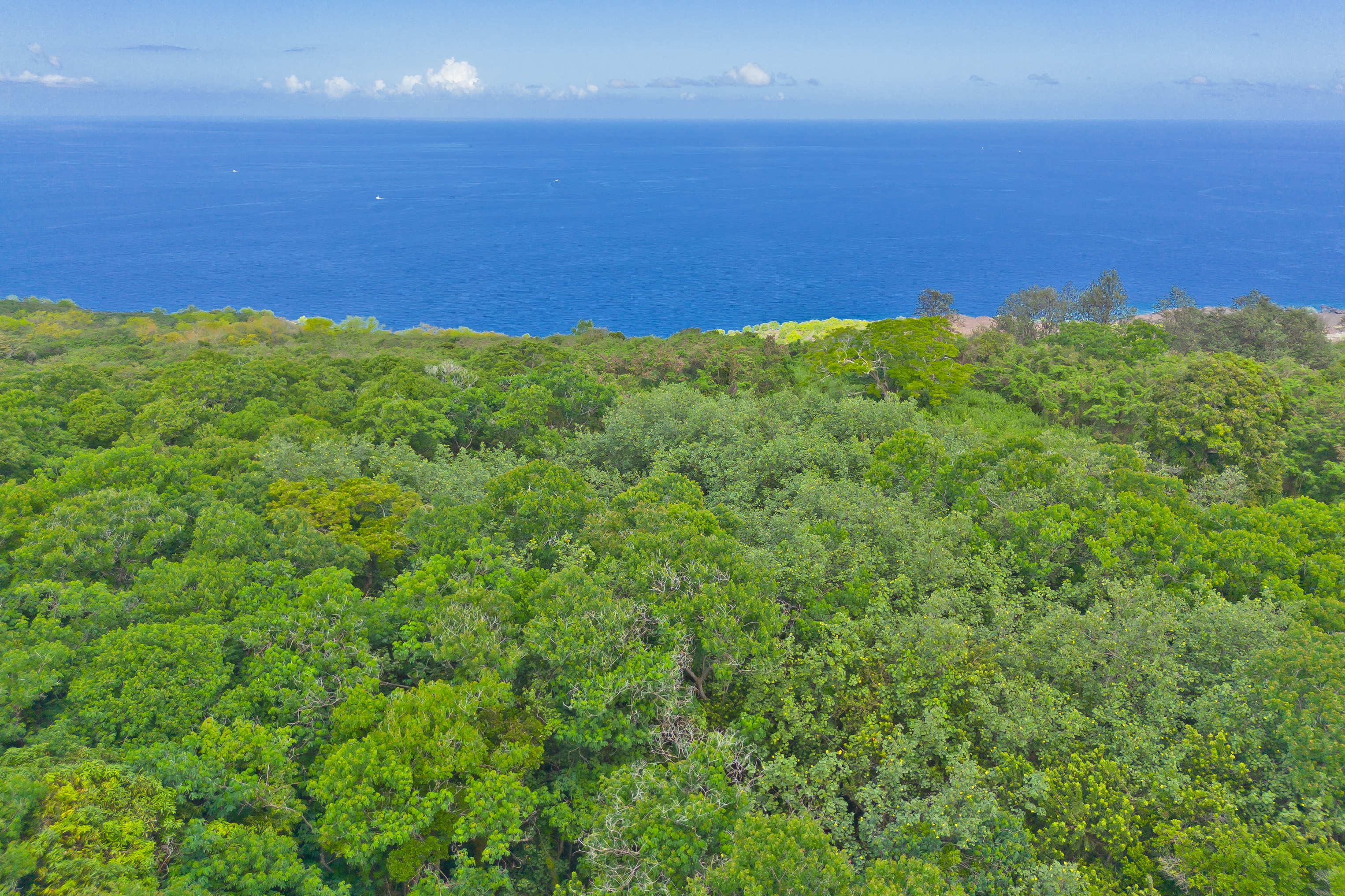 86-3845 Old Government Road Captain Cook, HI 96704 - Photo 9 of 29