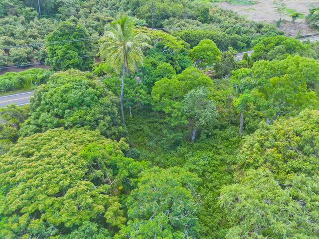 $5,495,000 | 86-3845 Old Government Road, Captain Cook, HI 96704