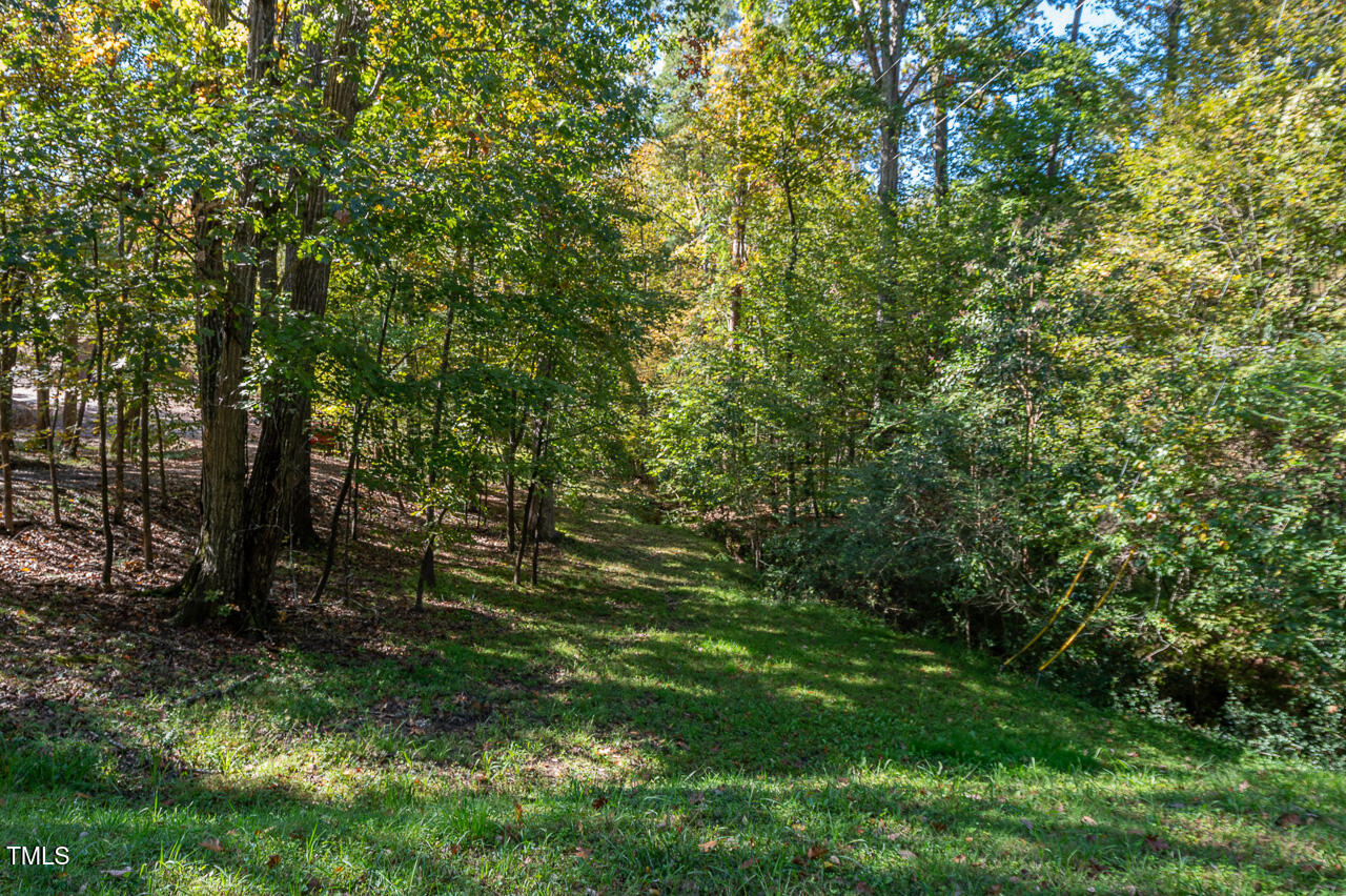 3946 Nottaway Road Durham, NC 27707 - Photo 10 of 18 a view of a yard with a tree