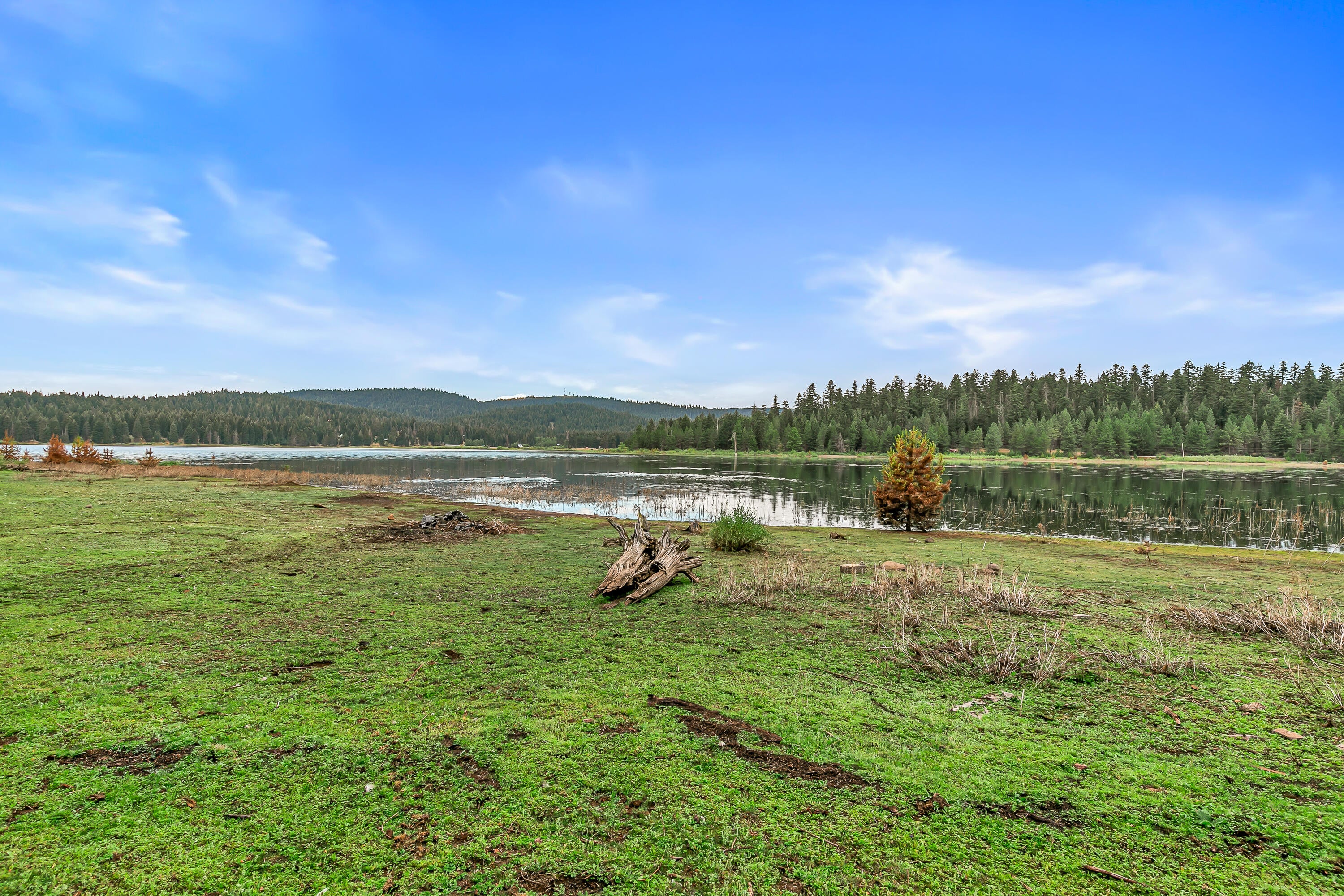 6000 East Hyatt Lake Road Ashland, OR 97520 - Photo 30 of 35 9R9A5003