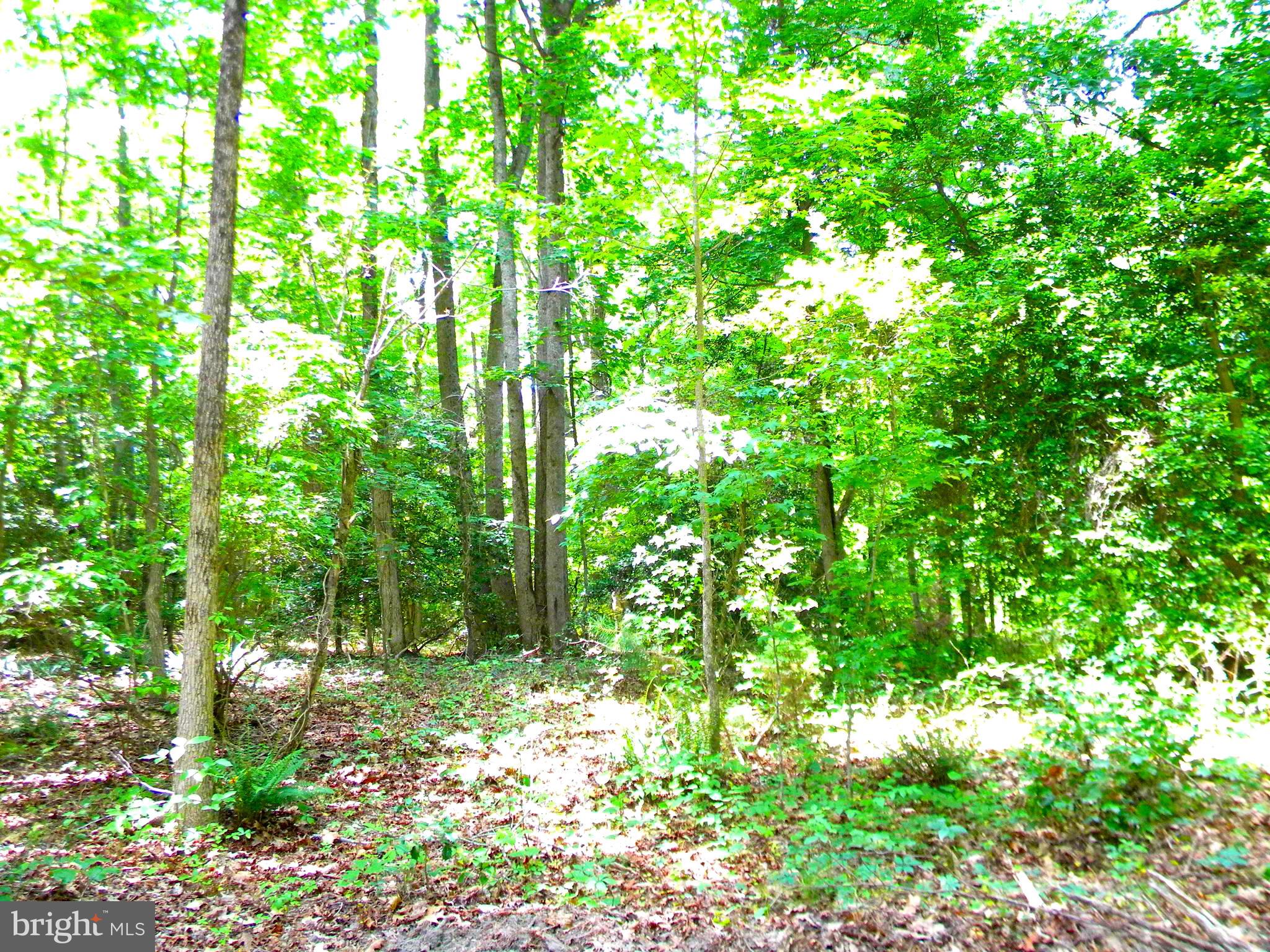 Lot 10 Thunder Road King George, VA 22485 - Photo 18 of 30 Gallery Image 18